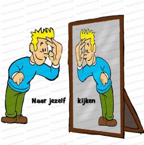 MDL019 - NE - Projectmanagement Radius - 05 - Nu naar jezelf kijken - Text