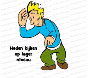 MDL019 - NE - Projectmanagement Radius - 08 - Heden kijken op lager niveau -Text