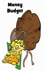 MDL025 - EN - Steering Parameters - 01 - Budget-Money - Text