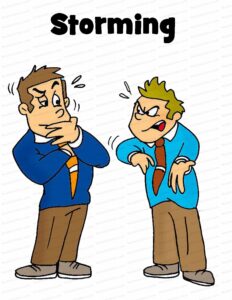 MDL032 - EN - Situational Leadership - 02 - Storming - Convince - Text