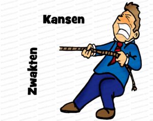 MDL059 - NE - SWOT - Q3- Zwakten-Kansen - Character - Text