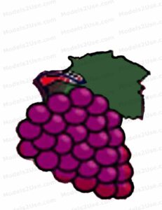 MDL068 - EN - Maslow - 01 - Physiological needs - 02 - Grapes - No Text