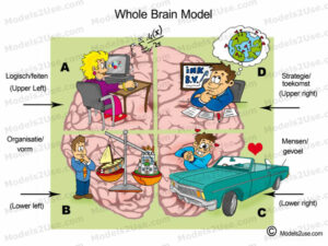 MDL102 - NE - Whole Brain Model [800x600] - WM