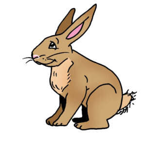 MDL901 - EN - Corporate Lesson 1 - A Story - 03 - Rabbit - 02