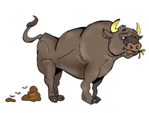 MDL902 - EN - Corporate Lesson 2 - A Story - Bull